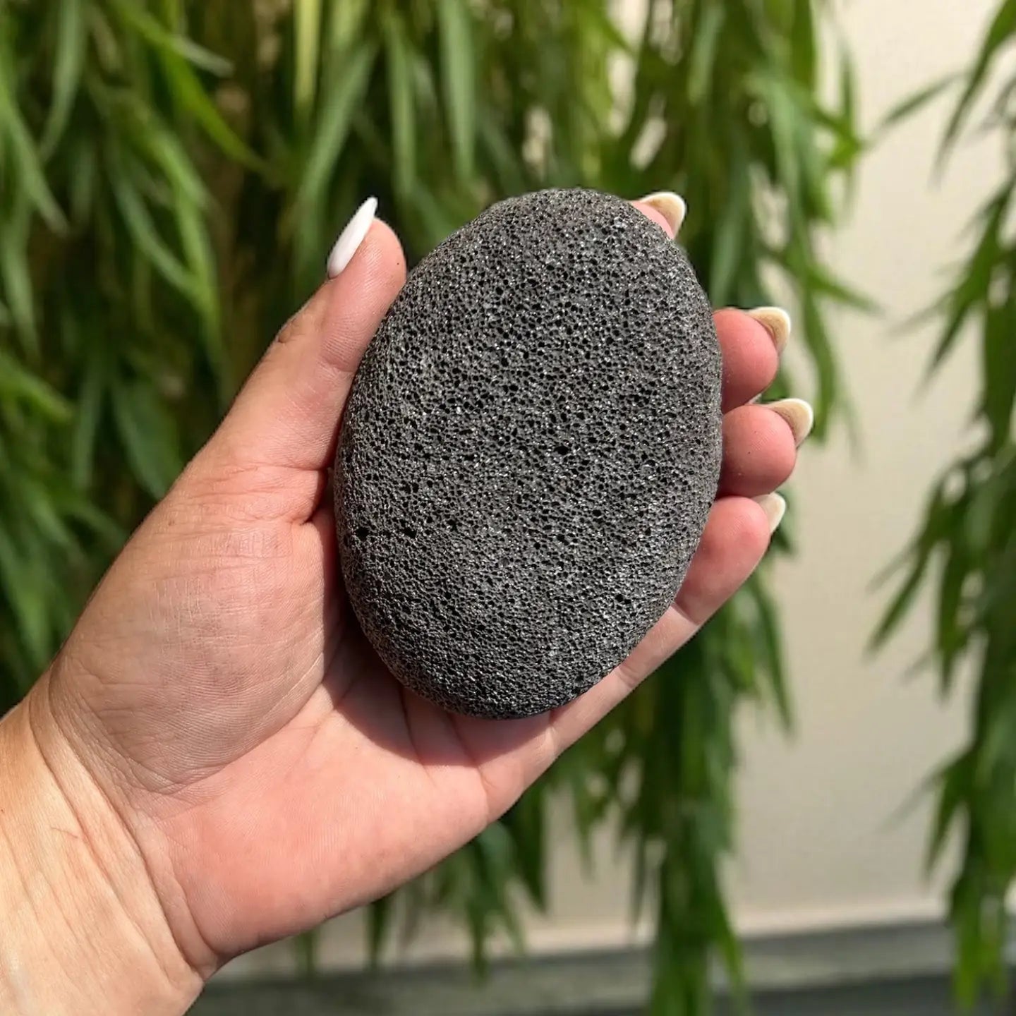 Natural Pumice Stone