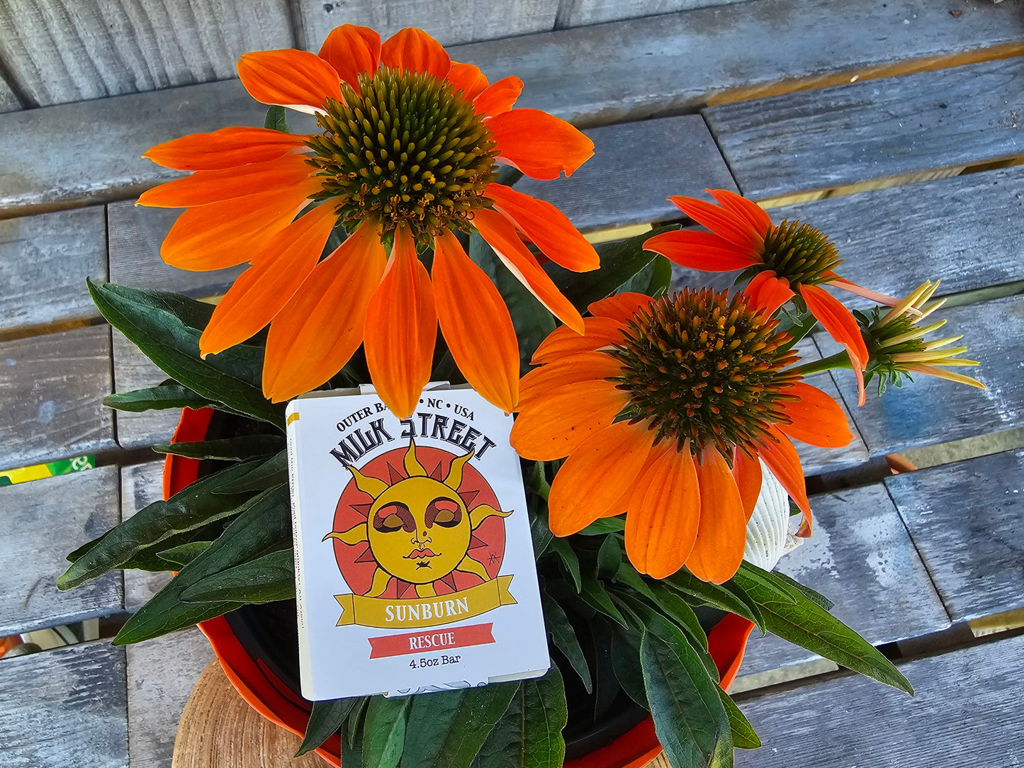 SUNBURN BAR - Unscented VEGAN Specialty Soap Bar