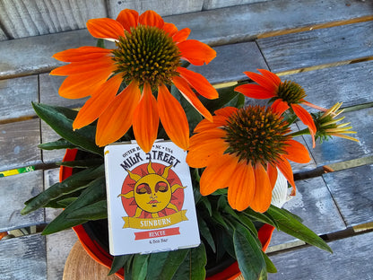 SUNBURN BAR - Unscented VEGAN Specialty Soap Bar